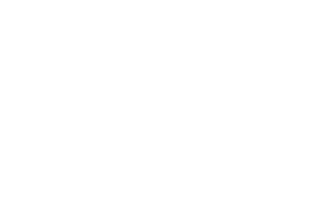 3D GMS