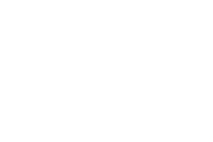 TF Gamer